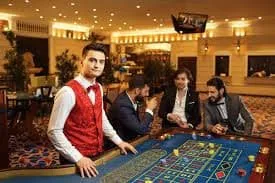 pkr2888 Cricket Wicket Win